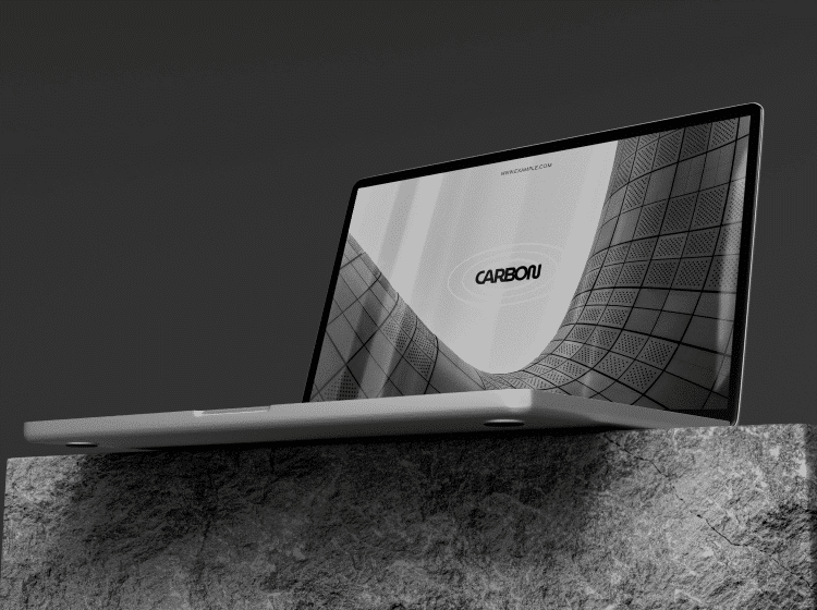 project pic 1
